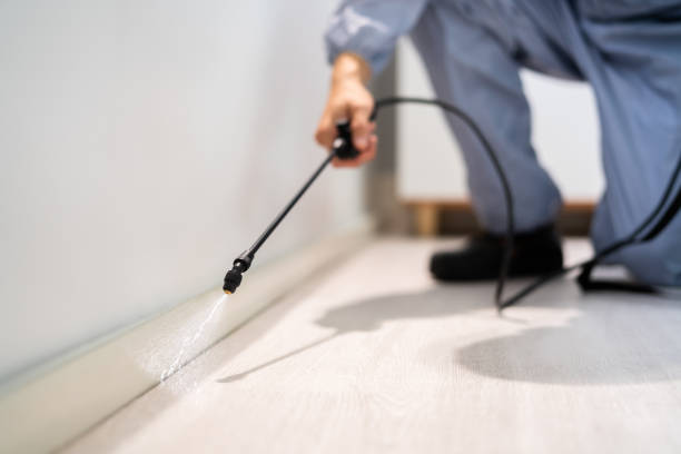 Licensed Pest Control service in Genoa, OH - Show Me Pest Control