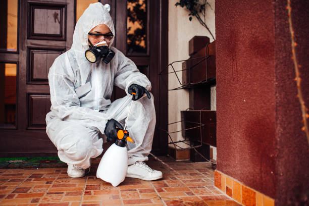 Attic and Crawl Space Rodent Treatment in Genoa