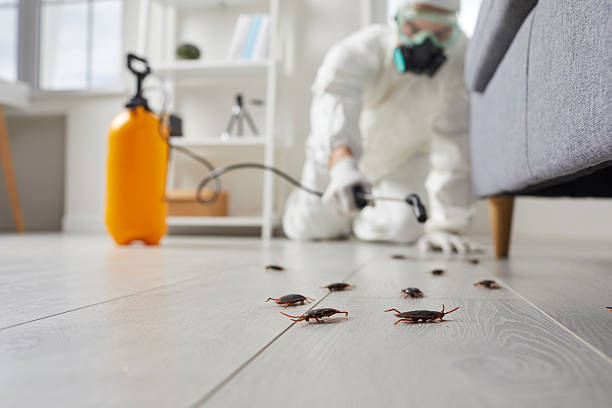 Commercial Rodent Management in Genoa